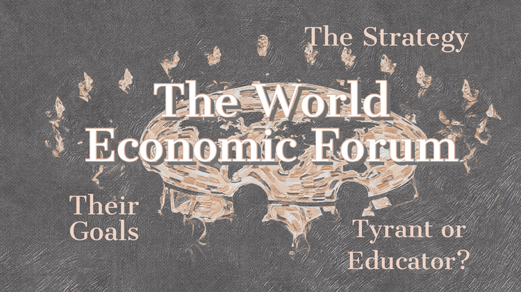 The World Economic Forum: Value Analysis